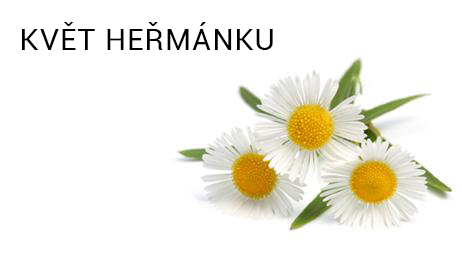 img-ingredient-camomile kopie